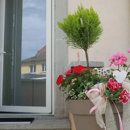 Saint-martin Apartmán *