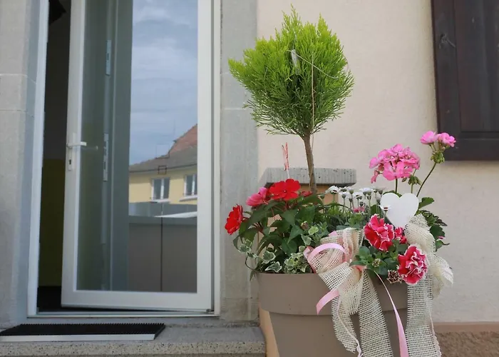 Saint-martin Apartamento *